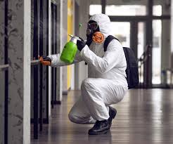 Best Commercial Mold Inspection  in Winnsboro Mills, SC